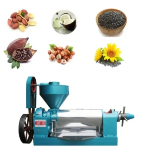 100 150KG Hour Coconut Oil Making Machine Coconut Oil Press Machine Oil Pressing Machinery