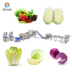 1000-3000kg/h Customized Leafy and Root Vegetable Processing Line Fresh Cut Cabbage Process Machine