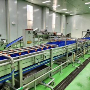 Automatic 200kg/500kg/1000kg Frozen French Fries and Potato Chips Fruit and Vegetable Fryer Making Machine Production Line