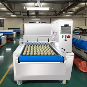Automatic Bakery Equipment Servo PLC Wheat Flour Cookie Machine for Chocolate Chip Cookie Making Food Processing Lines
