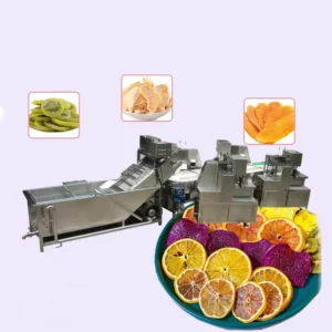 Automatic Dried Fruit and Vegetable Production Line Dehydrated Dry Fruits Vegetables Slicer Drying Processing Making Machine