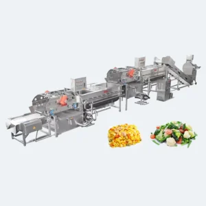 Automatic Frozen Fruit and Vegetable Production Line Machine IQF Fruits Vegetables Processing Plant Machines Freezing Machinery