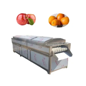 Fruit and Vegetable Processing Line Cleaning Waxing Machine Citrus Fruit Washing Machine