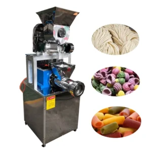 Pasta Making Machine Home Use Electric Stainless Steel Noodle Spaghetti Making Machine Restaurant
